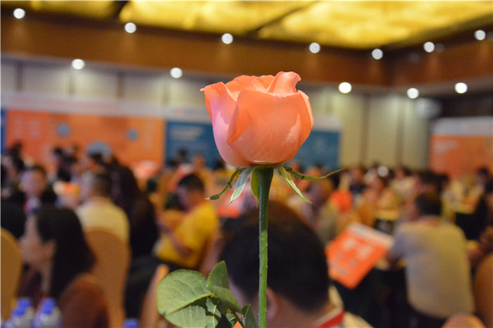 1618984105114920.jpg 1-1.jpg