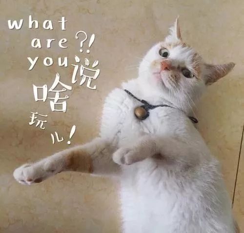 傲馬網(wǎng)絡(luò)技術(shù)有限公司 傲馬網(wǎng)絡(luò)技術(shù)有限公司